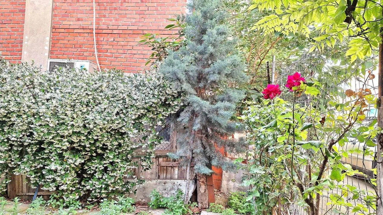 Despina'S Yard Apartment Thessaloniki Greece